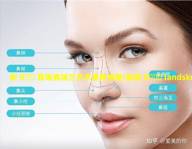 刚 🦋 察瑞典瑞兰手术费用揭秘(瑞典 🍁 landskrona)